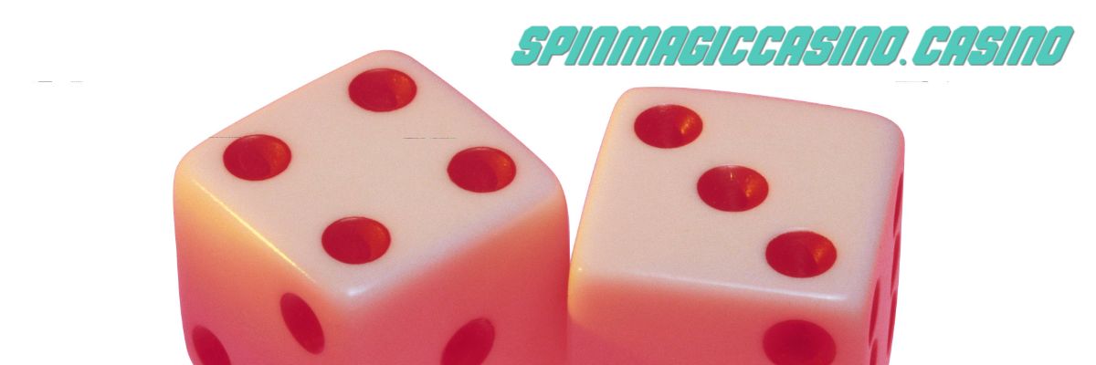 spinmagiccasino.casino